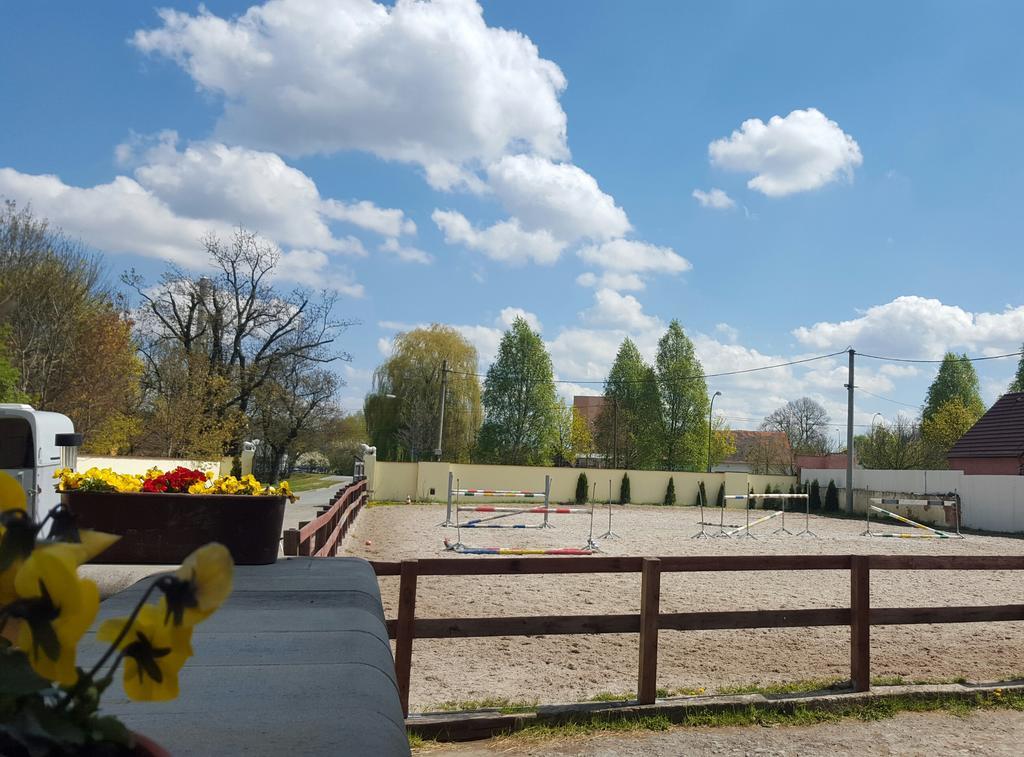 Farm Stay Nh Stables Nyrany Buitenkant foto