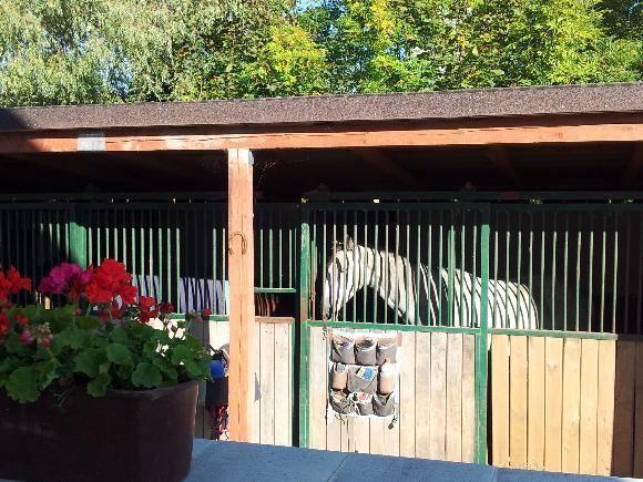 Farm Stay Nh Stables Nyrany Buitenkant foto