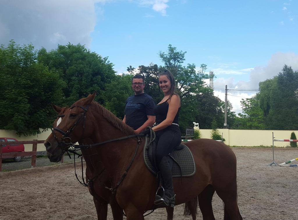 Farm Stay Nh Stables Nyrany Buitenkant foto