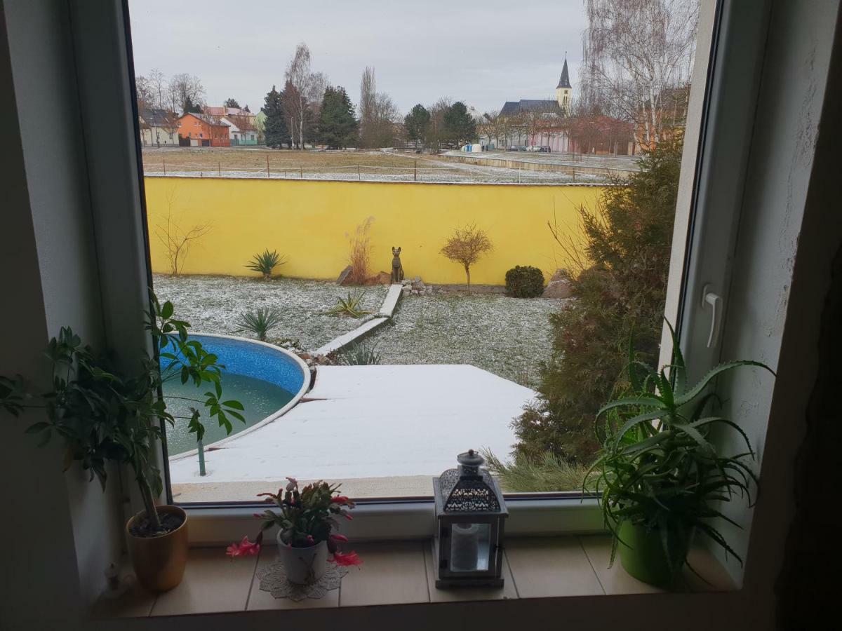 Farm Stay Nh Stables Nyrany Buitenkant foto