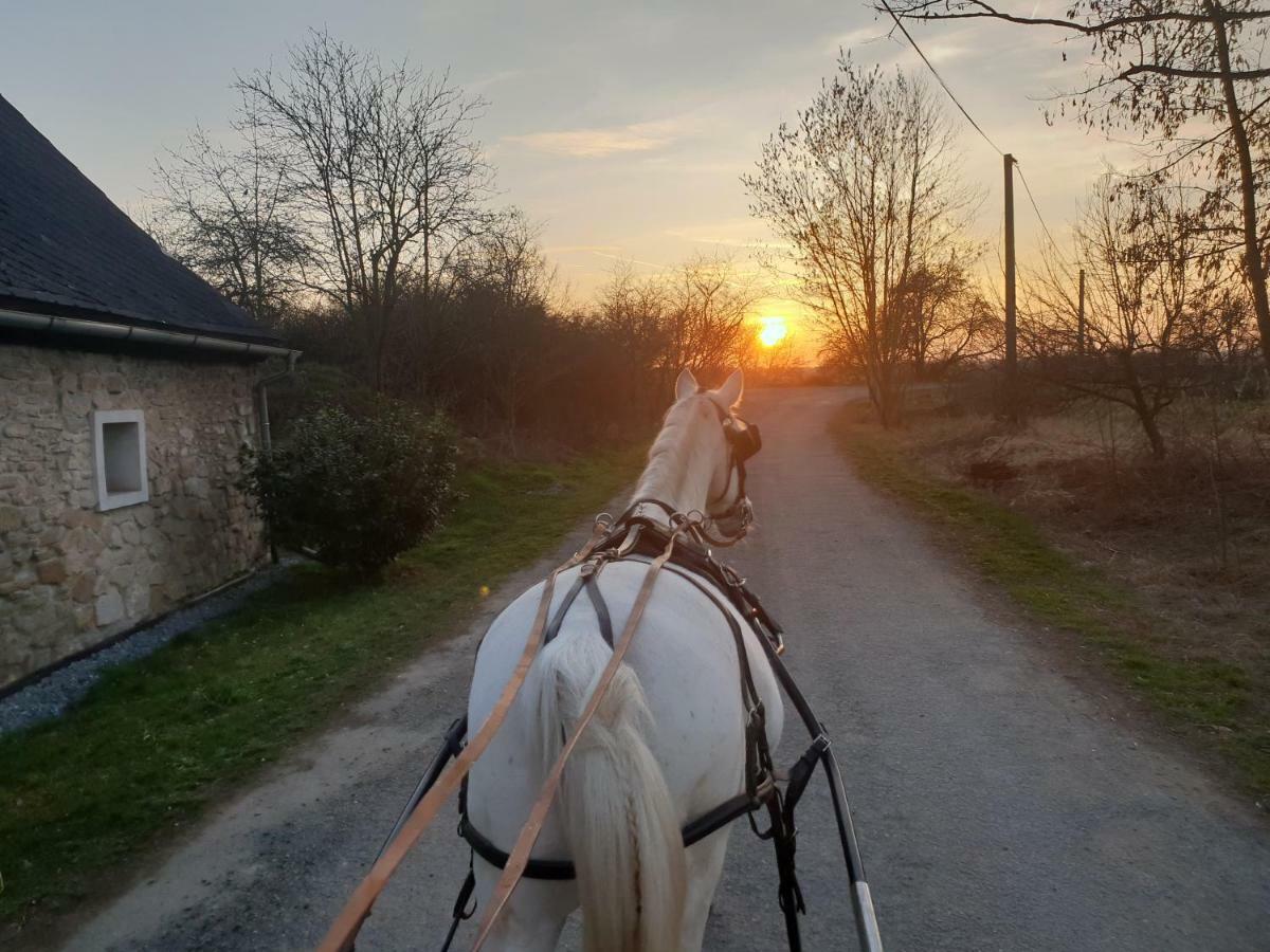 Farm Stay Nh Stables Nyrany Buitenkant foto