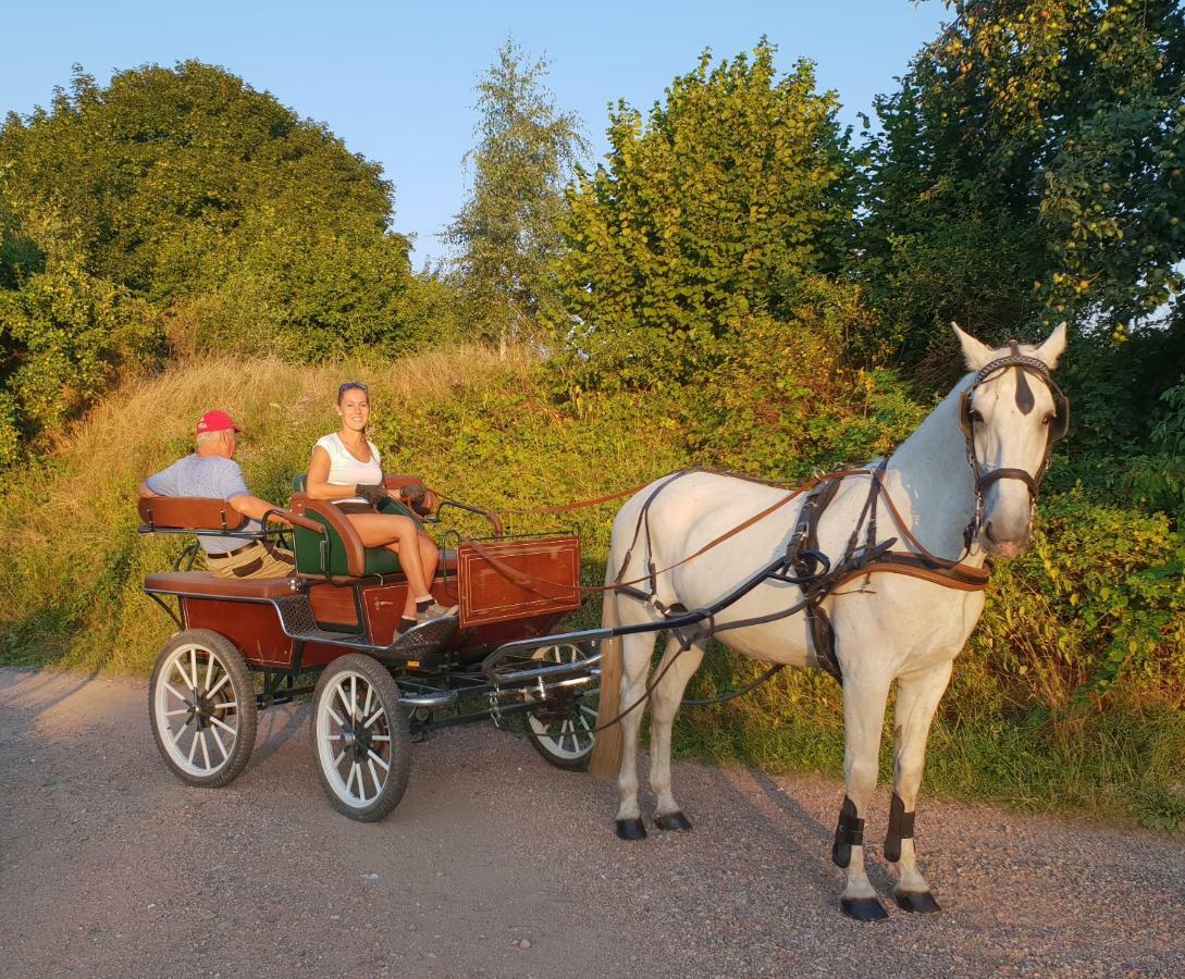 Farm Stay Nh Stables Nyrany Buitenkant foto